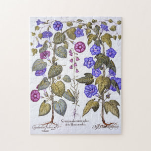 Harebell och Convovulus Pussel