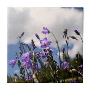 Harebells i Sandiasen belägger med tegel Kakelplatta
