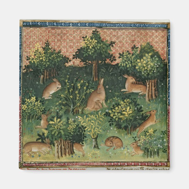Hares in a Wood Magnet (Framsidan)
