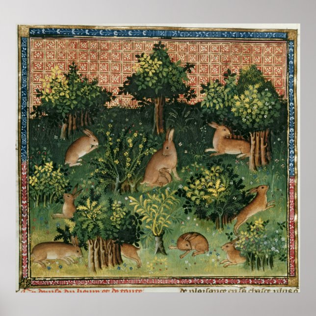 Hares in a Wood Poster (Framsidan)