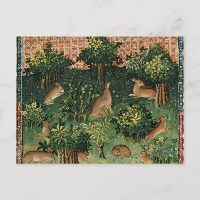 Hares in a Wood Vykort (Framsida)