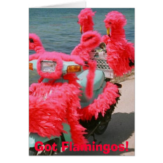 HarFlamingos! , Hälsningskort