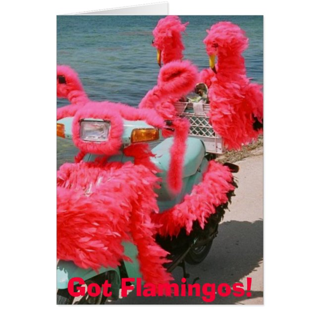 HarFlamingos! , Hälsningskort (Framsidan)