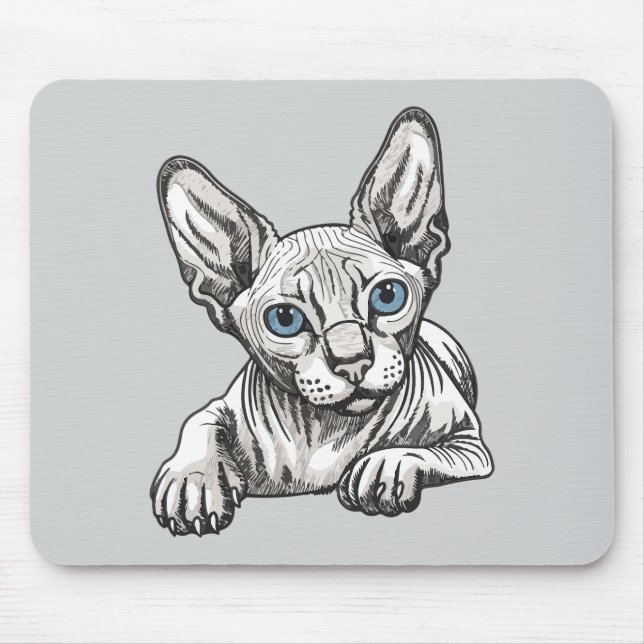 Hårfri Sphynx-katt  Musmatta (Framsidan)
