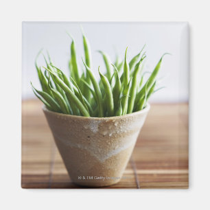 Haricot vert i kruka på bambuyta magnet