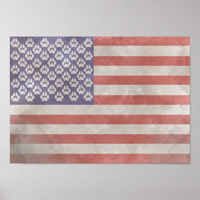 Hårig American Flagga Poster (Framsidan)