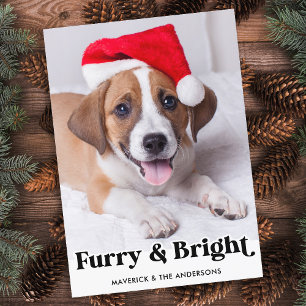 Hårig & Bright Personlig - enkelt Pet-Hund-foto Julkort