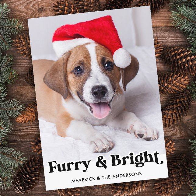 Hårig & Bright Personlig - enkelt Pet-Hund-foto Julkort (Skapare uppladdad)