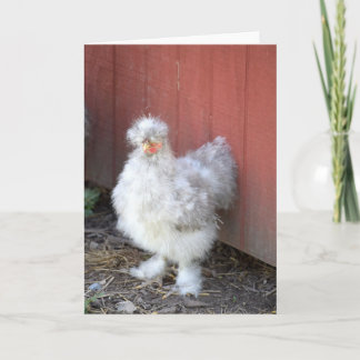 Hårig Chicken - humoristiskt gratulationskort Kort