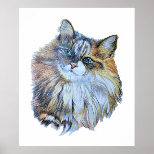 Hårig Colorful Norway Forest Cat Realistic Art Poster