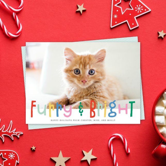 Hårig för ljusknapp och foto för Bright Hund Cat P Julkort (Skapare uppladdad)
