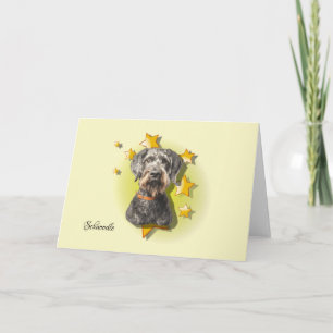 Hårig Grått Schnoodle är ett stjärnkort Kort