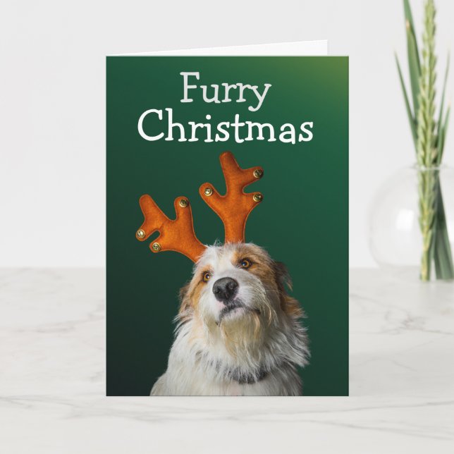 Hårig jul från hund-kortet tack kort (Framsida)