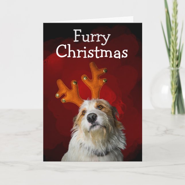 Hårig jul från hund-kortet tack kort (Framsida)