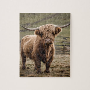 **"Hårig Majestät: Wooly Brown Highland Cow"** Pussel