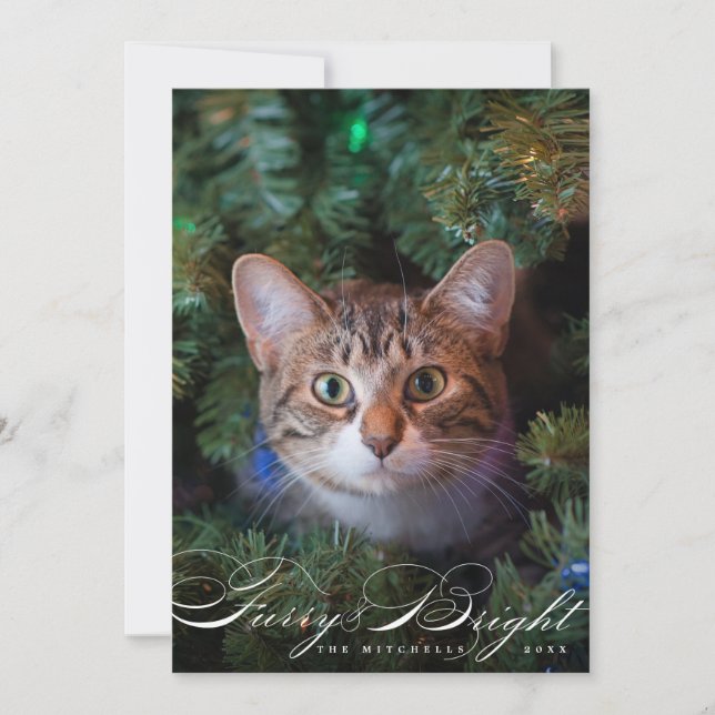 Hårig- och Bright Elegant Pet Cat-fotokort Julkort (Framsida)
