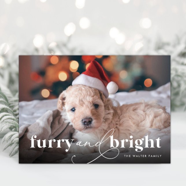 Hårig- och Bright Fullt-fotokort Helgdag Julkort (Furry & Bright Full Photo Holiday Card)
