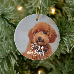 Hårig- och Bright-Hund- eller Cat Photo-Personlig Julgransprydnad Keramik