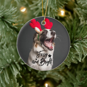 Hårig- och Bright-Hund- eller Cat Photo-Personlig Julgransprydnad Keramik