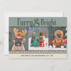Hårig- och Bright-Hund fotoport, Helgdag Julkort