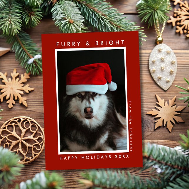 Hårig och Bright Paw Skriv ut Red Pet Photo Jul Julkort (Skapare uppladdad)