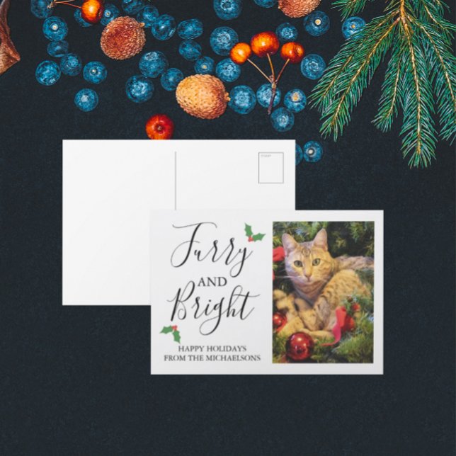 Hårig och Bright Pet-fotojul Helg Vykort (Skapare uppladdad)