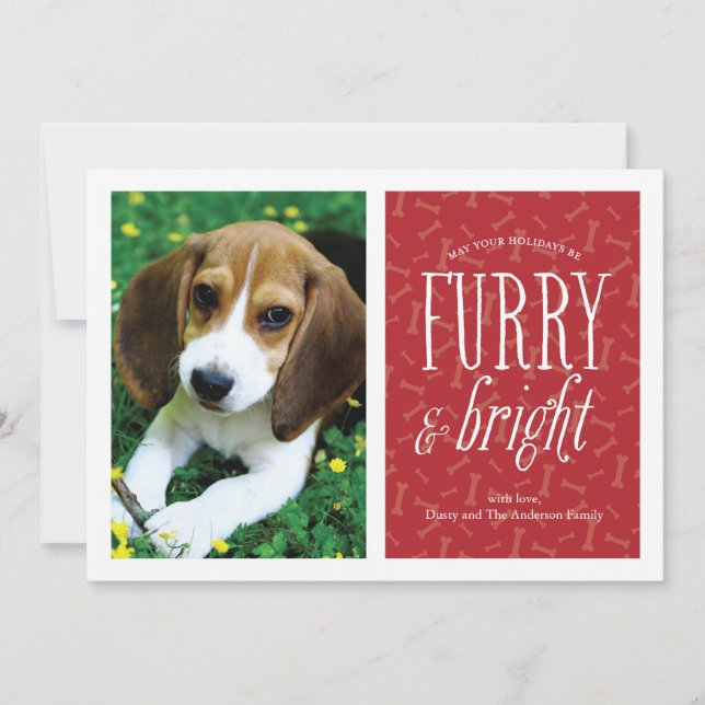 Hårig- och Bright Pet-fotokort Julkort (Framsida)