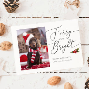 Hårig- och Bright Pet-Helgdag-julkort Julkort