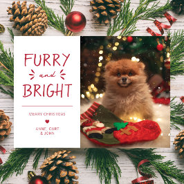 Hårig och Bright Pet Photo Jul Helgdag Red Julkort