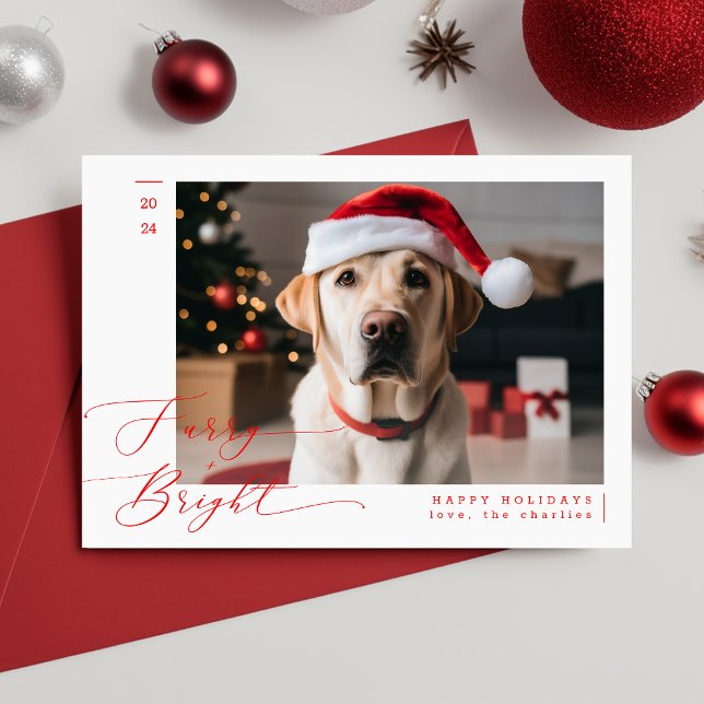 Hårig och BrightStor Pet-Hund fotojul Julkort (Skapare uppladdad)