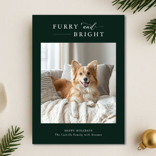 Hårig och enkel Hund jul 2-foto-Grönt Julkort