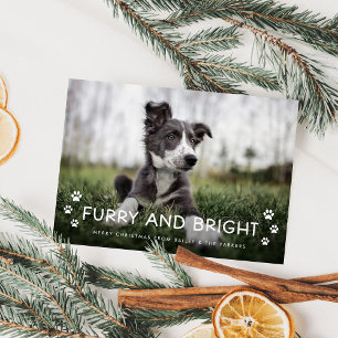 Hårig och ljus Julfoto från Hund Julkort