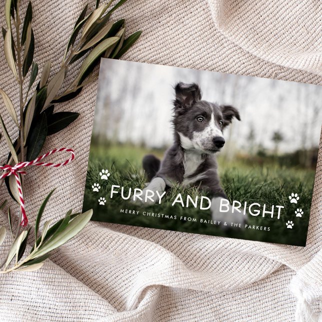 Hårig och ljus | Julfoto från Hund Magnetisk Inbjudningskort (An adorable Christmas holiday photo card from your dog)