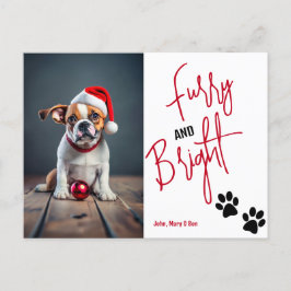 Hårig och ljus Pet Photo jul Red Helg Vykort