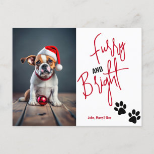 Hårig och ljus Pet Photo jul Red Inbjudan Vykort