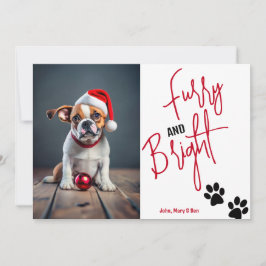 Hårig och ljus Pet Photo jul Red Julkort