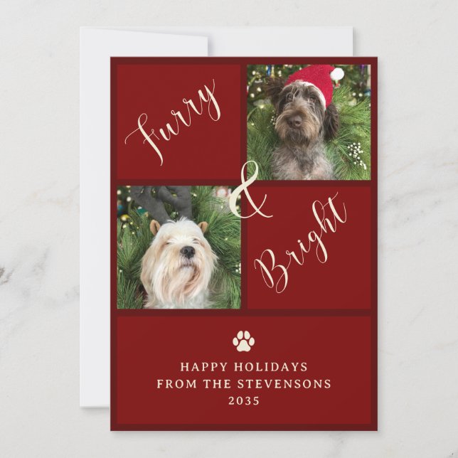 Hårig och ljusröd 2-foto-Hund Julkort (Framsida)