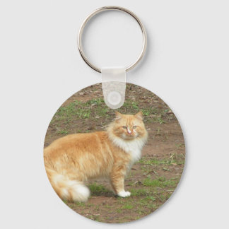 Hårig Orange och vit katt Nyckelring