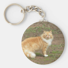 Hårig Orange och vit katt Nyckelring