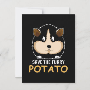 Hårig Potato Guinea Gris Owner Tack Kort