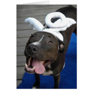 Hårigängel Hälsningskort