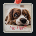 Håriget Hund Photo och den ljusa jul Julgransprydnad Metall<br><div class="desc">Lägg till din valps foto i den här helgdag dogmen som säger julprydnad: hårig och ljus!</div>