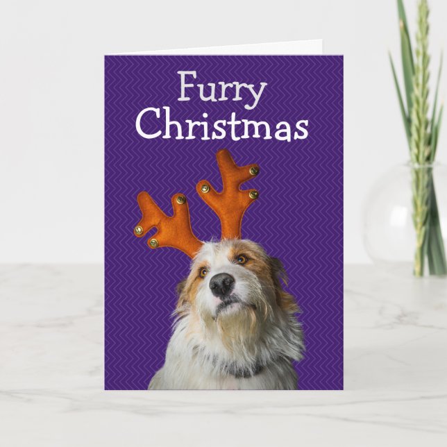 Håriget Jul från hund Tack Kort (Framsida)