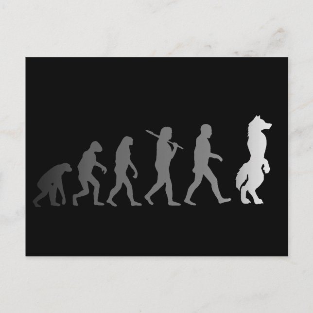 Hårigets utveckling vykort (Framsida)