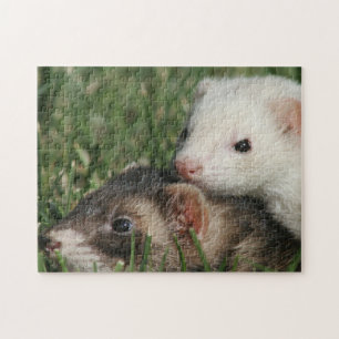 Hårigets vänner. Weasel Friendly Ferrets Pussel