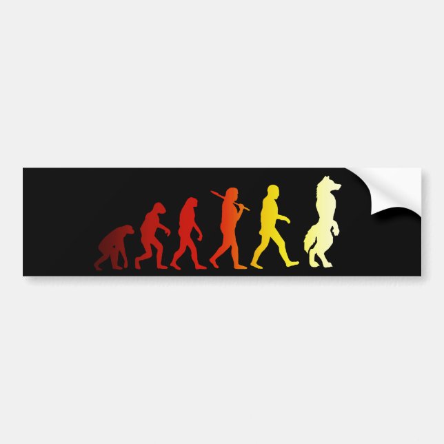 Hårigevolution Bildekal (Framsidan)