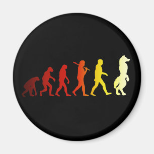 Hårigevolution Magnet