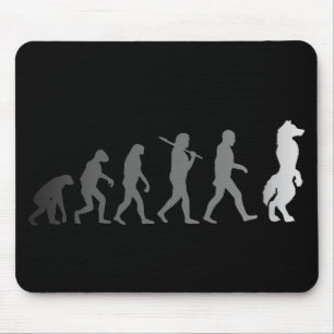 Hårigevolution Musmatta