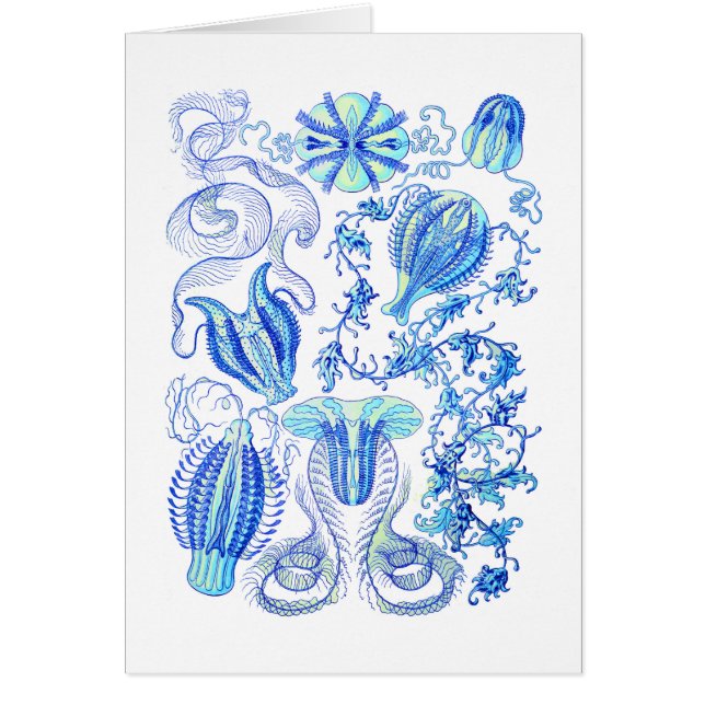 Hårkamgeléer Hälsningskort (Framsidan)