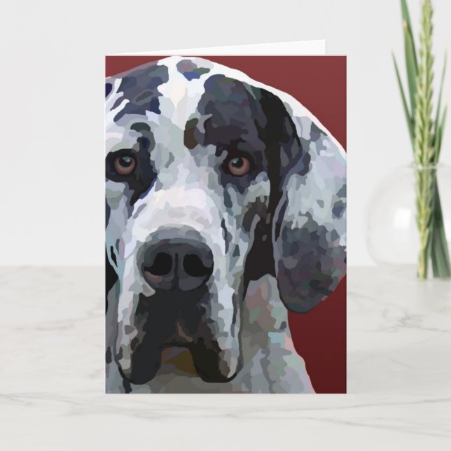Harleqiuin great dane kort (Framsida)